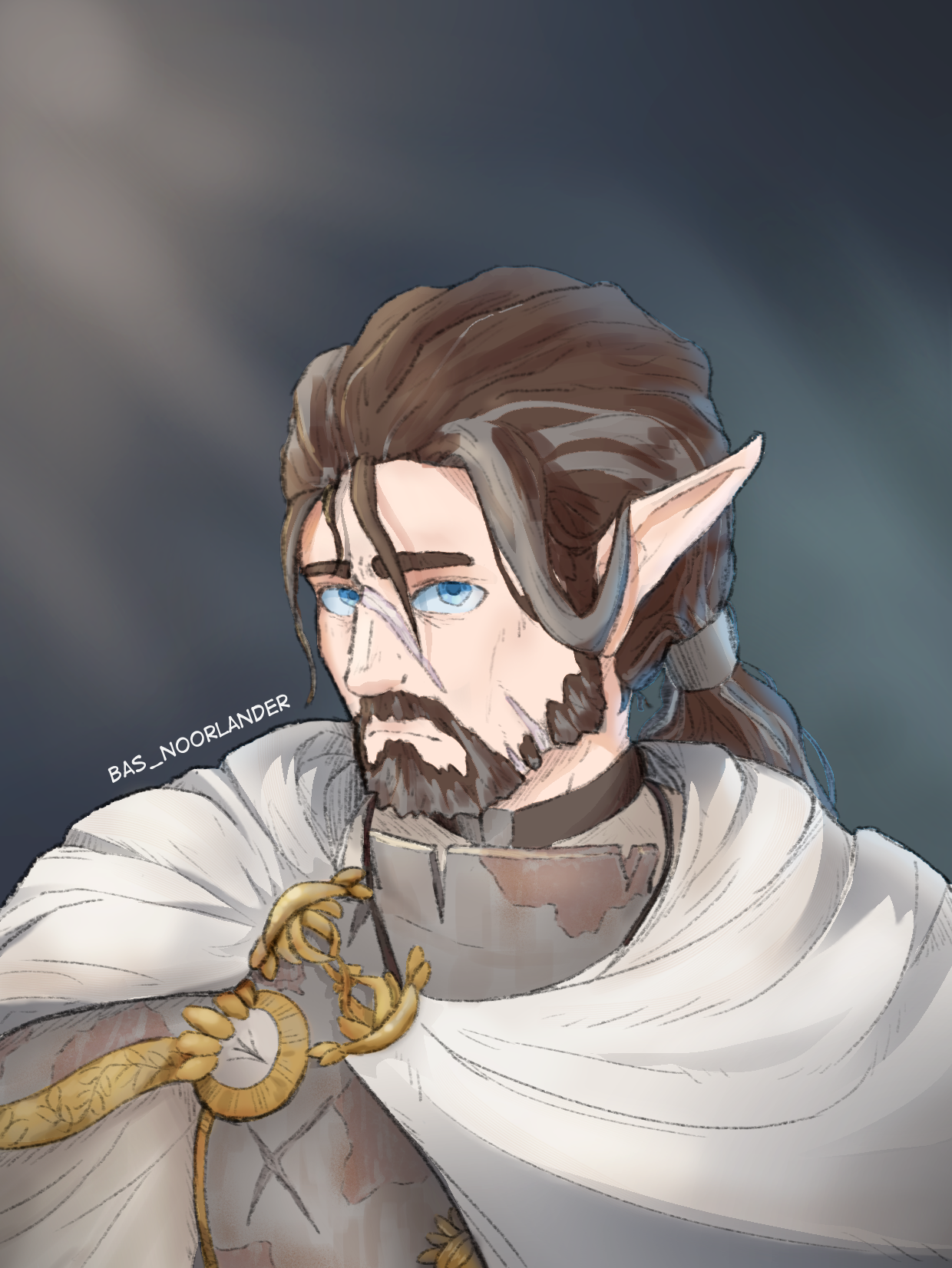 A personal character design, an elven former knight, a lone survivor.